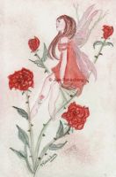 Rose fairy